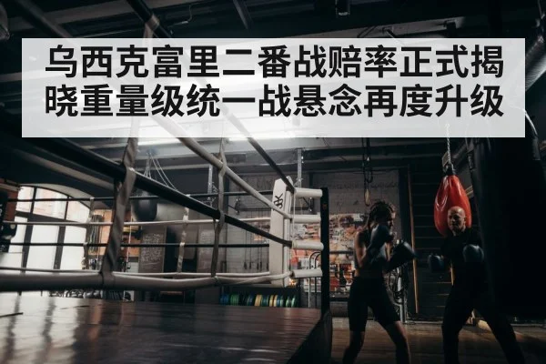 boxer training