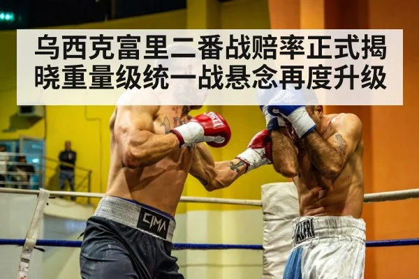 heavyweight fight